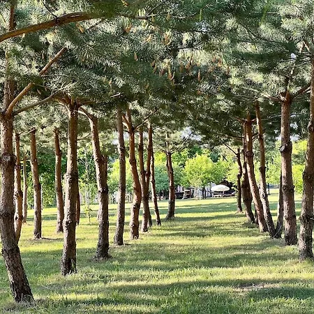 Appartement Kleine Schoene Doppelhaushaelfte *