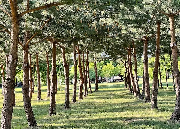Appartement Kleine Schoene Doppelhaushaelfte *